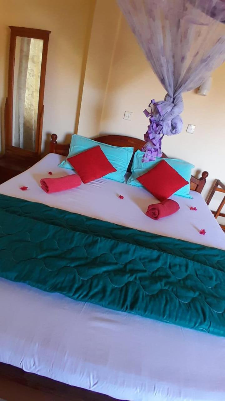 היקדואה New Sea Lion Guest House מראה חיצוני תמונה