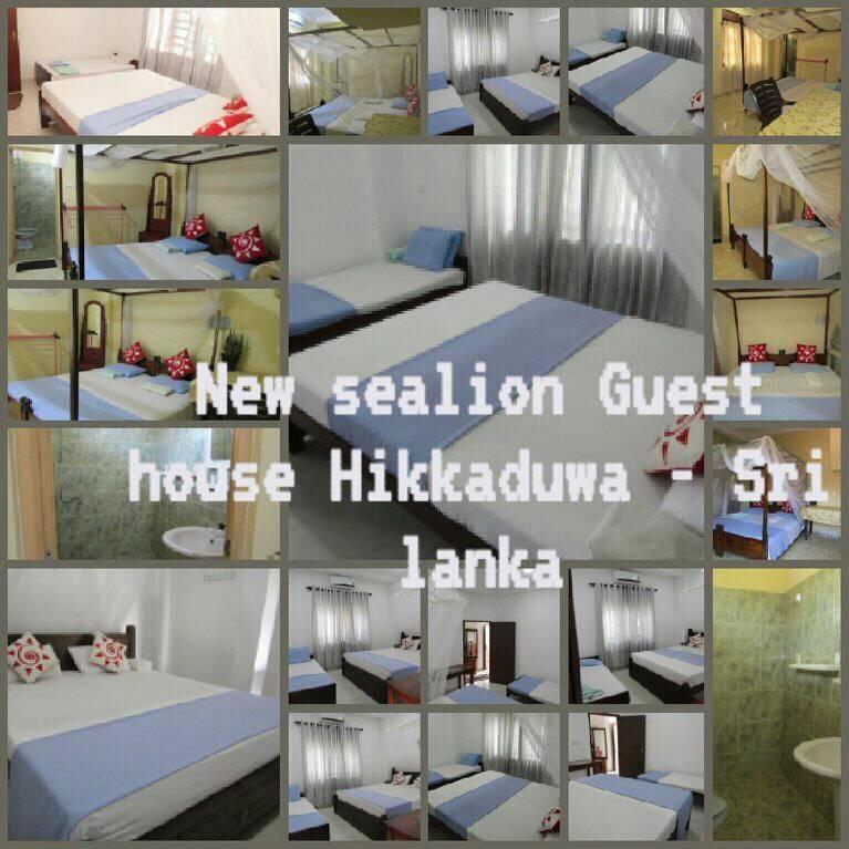 היקדואה New Sea Lion Guest House מראה חיצוני תמונה