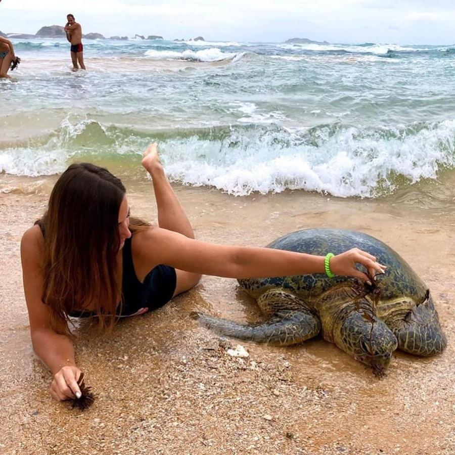 היקדואה New Sea Lion Guest House מראה חיצוני תמונה